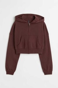 H&M Mit Kapuze Crop Jacket Sweatshirt Damen Hellgrau | MGR-743928